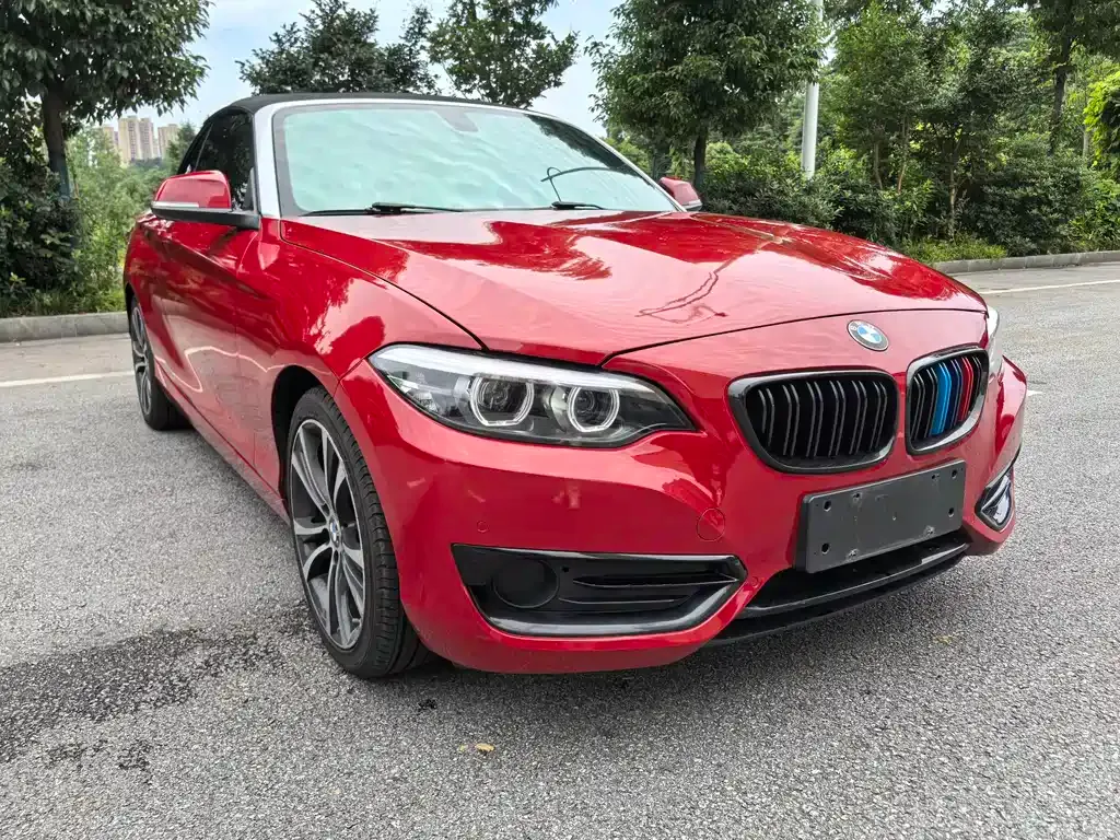 BMW 2 Series (Import) — фото 9