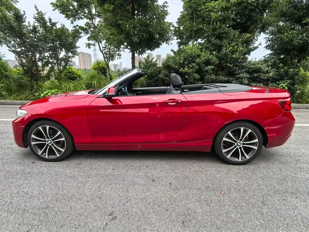 BMW 2 Series (Import) — фото 10