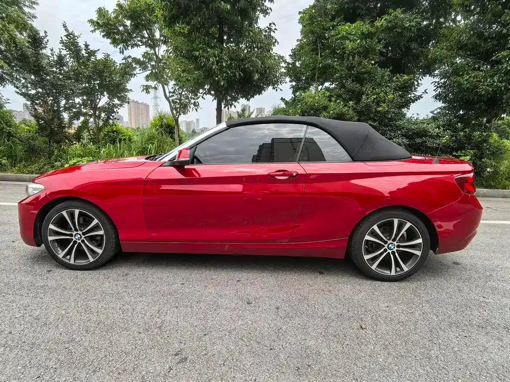 BMW 2 Series (Import) — фото 6