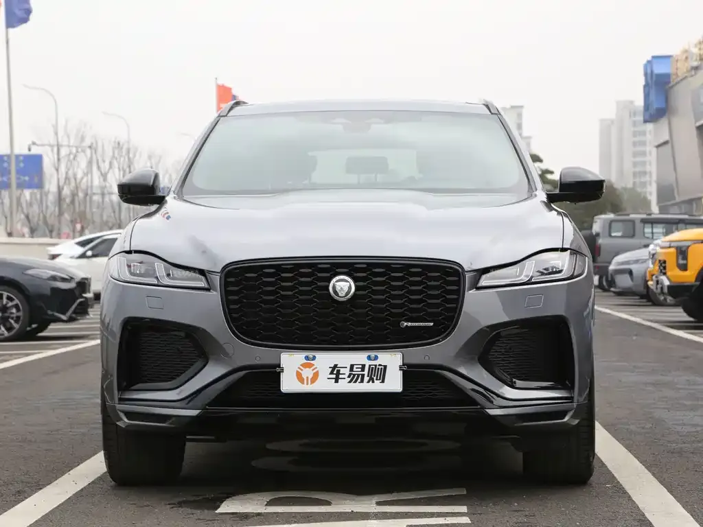 Jaguar F-PACE — фото 9