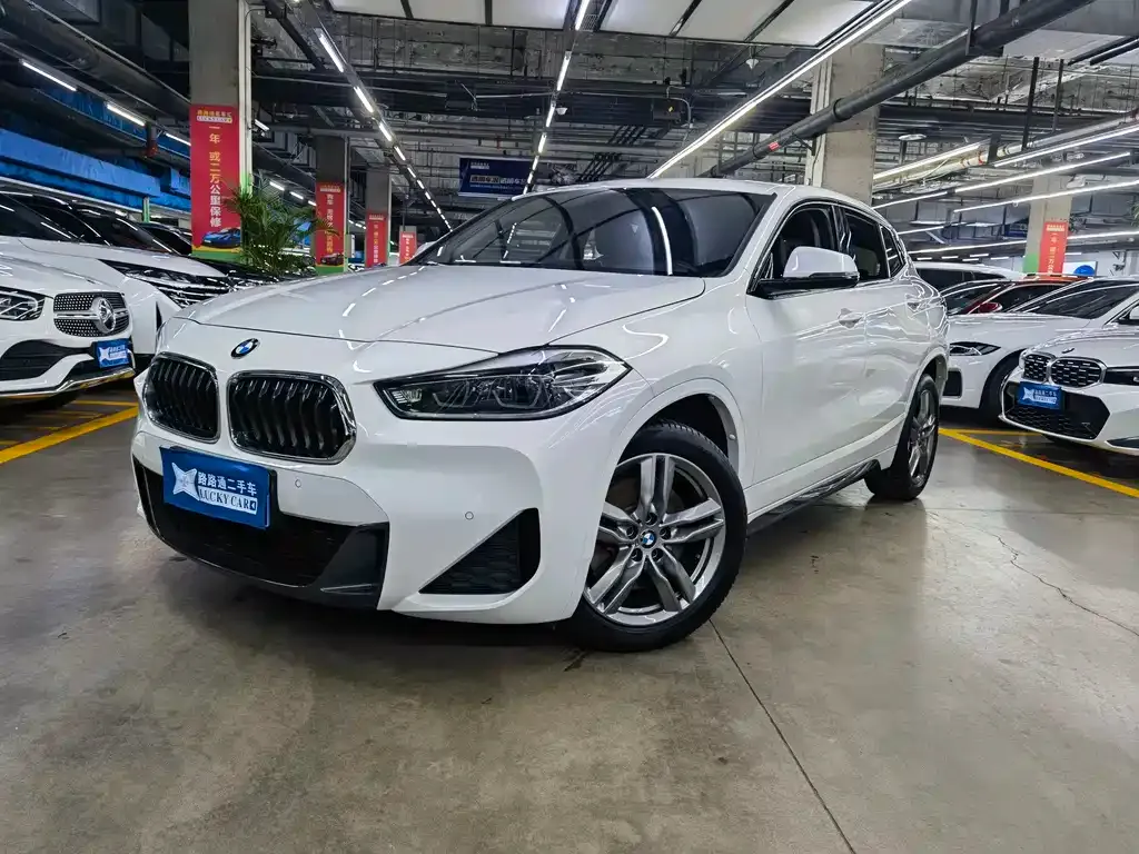 BMW X2 — фото 1