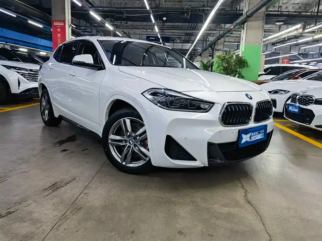 BMW X2 — фото 2
