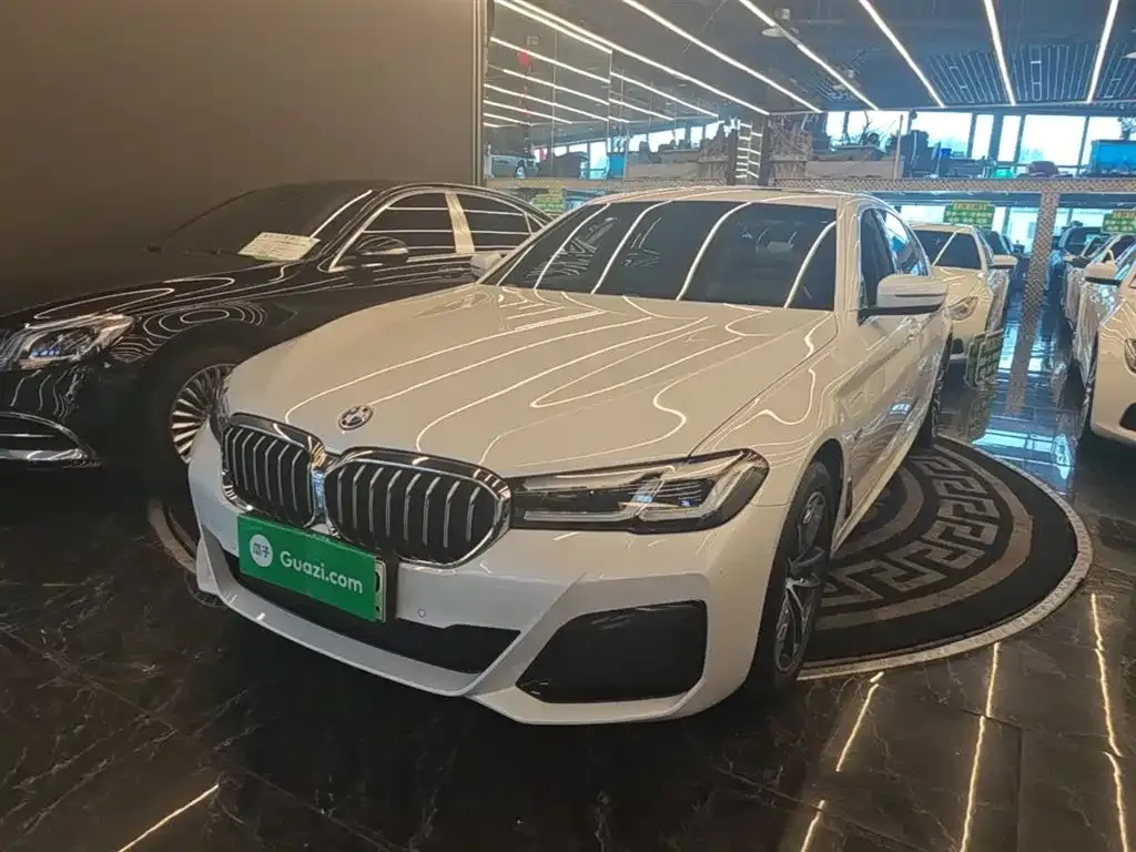 BMW 5 Series New Energy — фото 6