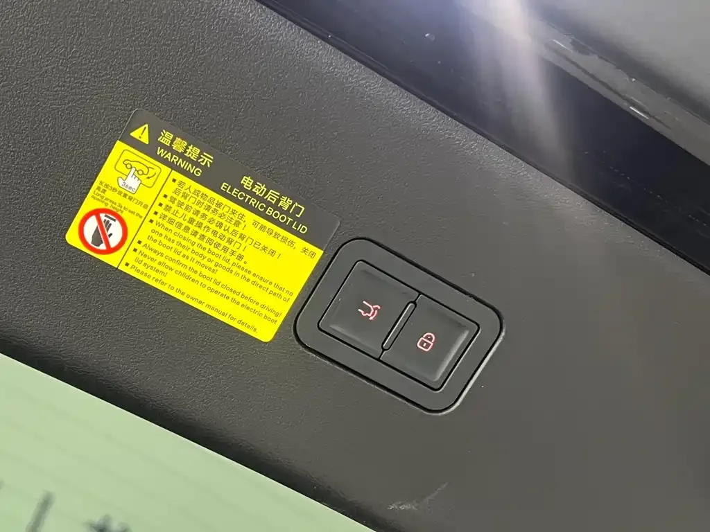 BYD L EV — фото 10