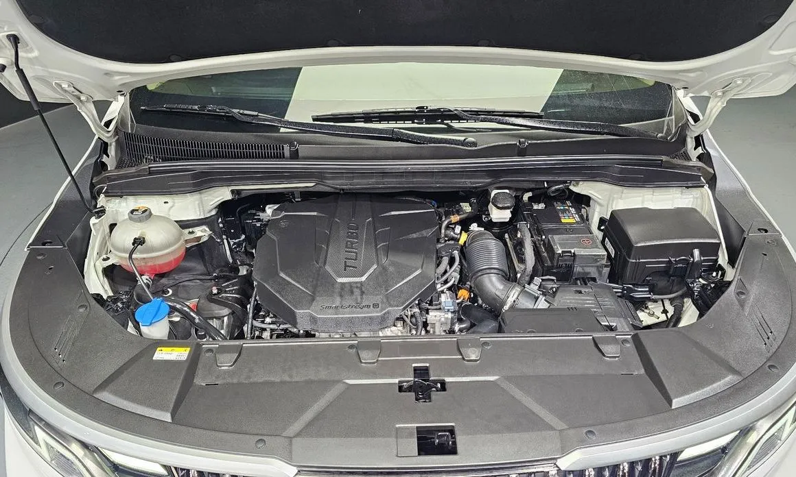 Kia Carnival — фото 10