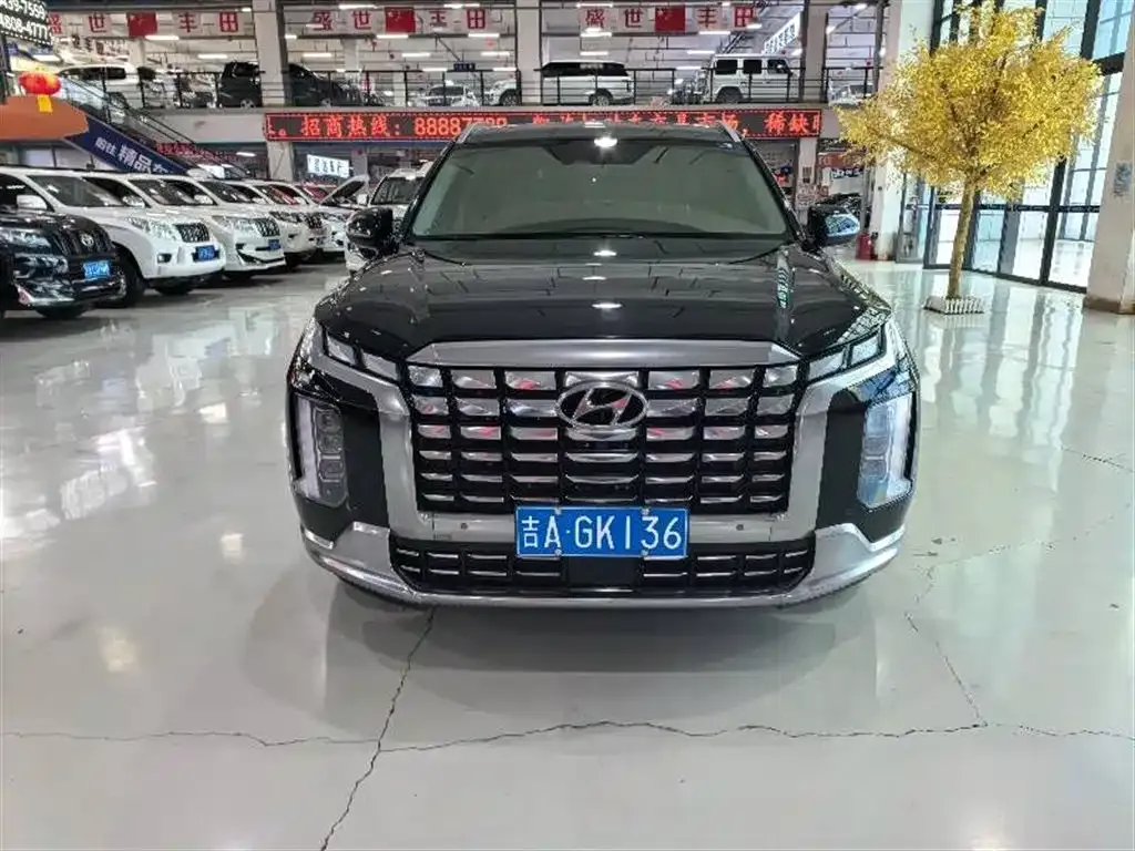 Hyundai Palisade — фото 8