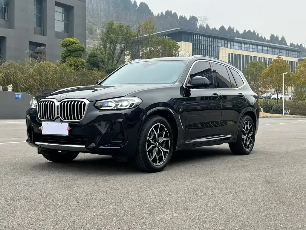 BMW X3 — фото 1