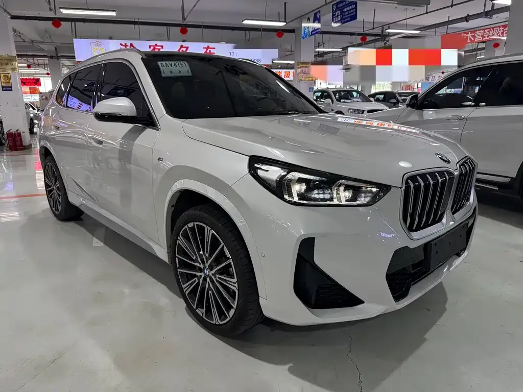BMW X1 — фото 10