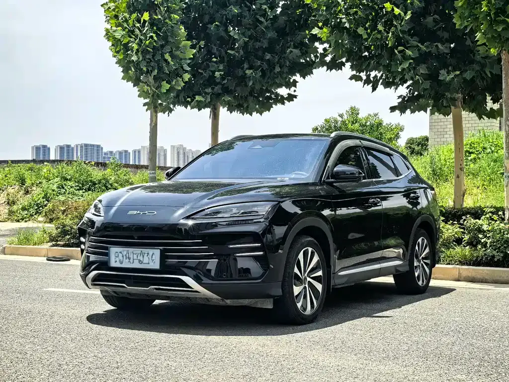 BYD PLUS New Energy — фото 1