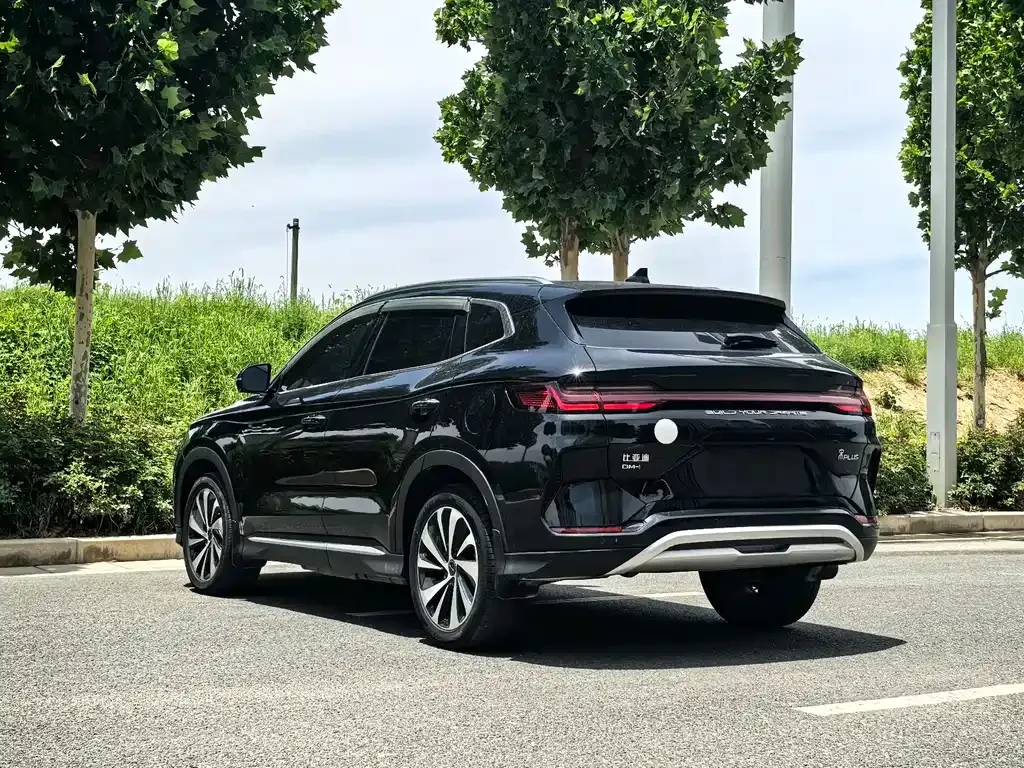 BYD PLUS New Energy — фото 6