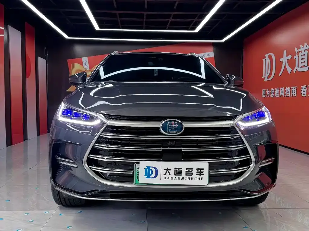 BYD Tang New Energy — фото 2