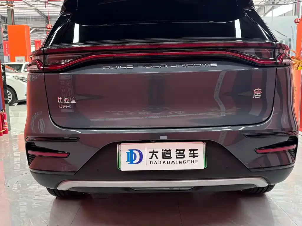 BYD Tang New Energy — фото 10