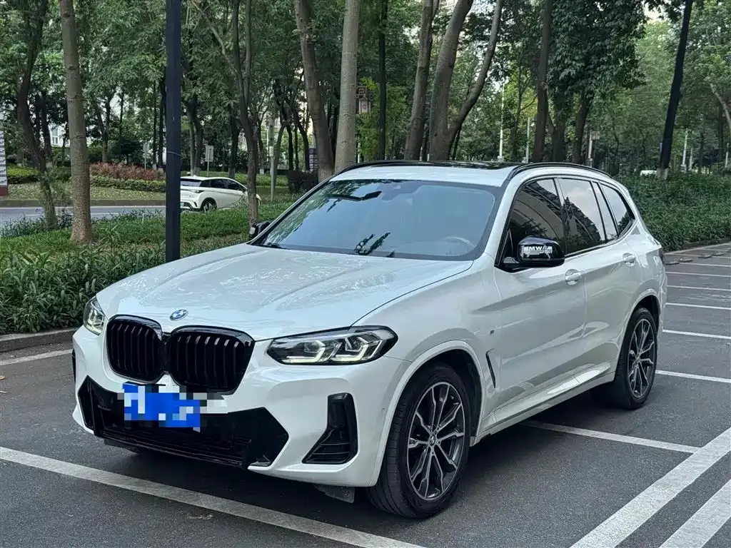 BMW X3 — фото 1