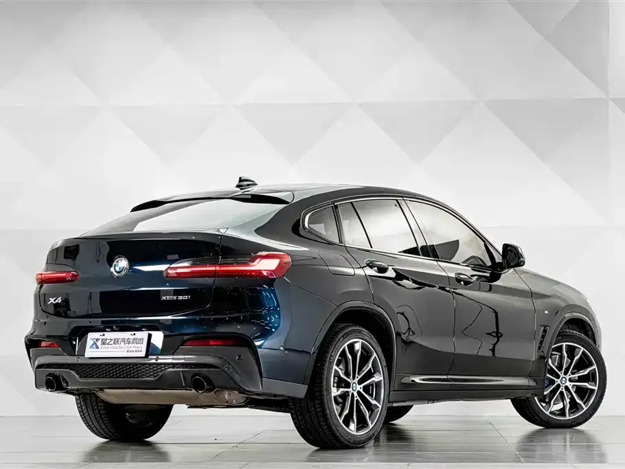 BMW X4 — фото 8