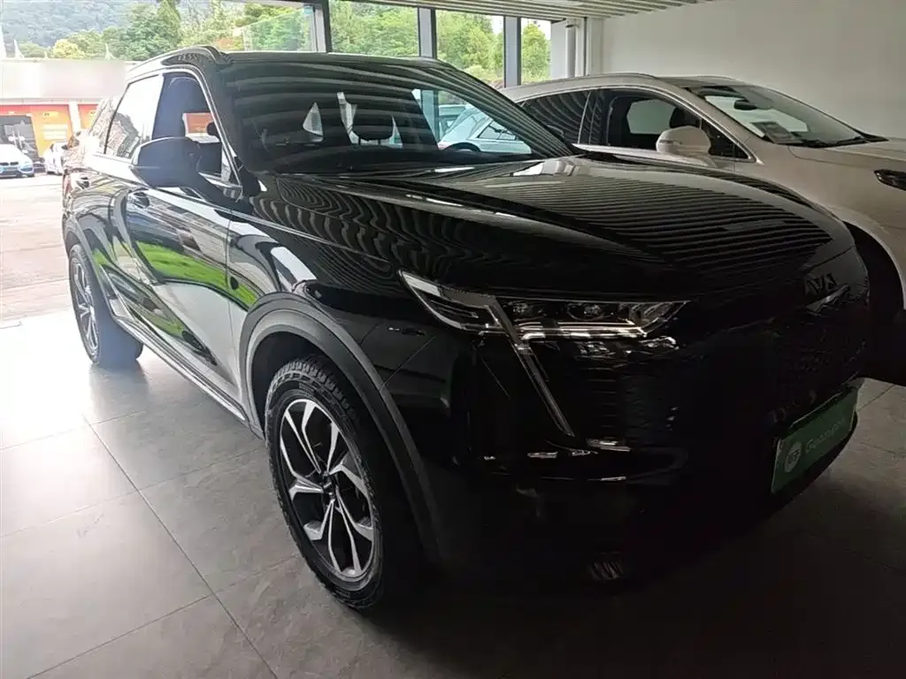 Haval Xiaolong MAX — фото 6