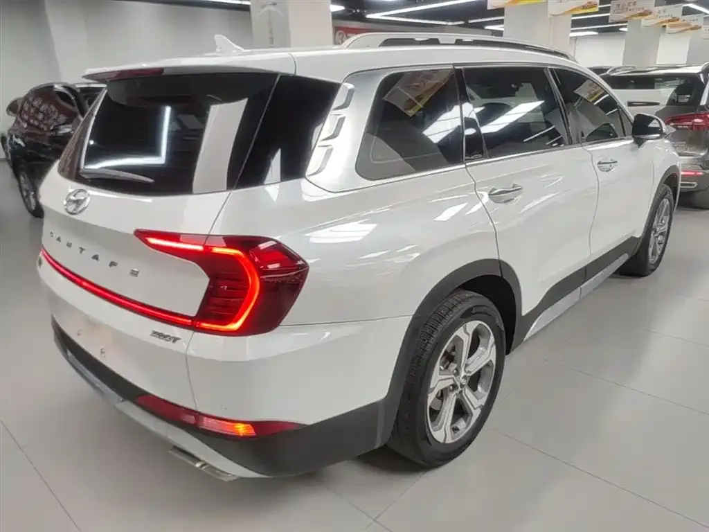 Hyundai Santa Fe — фото 8