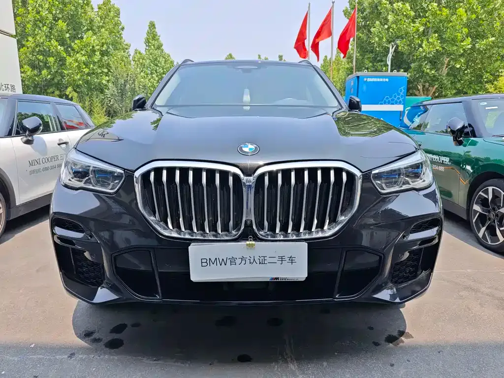 BMW X5 (Import) — фото 10