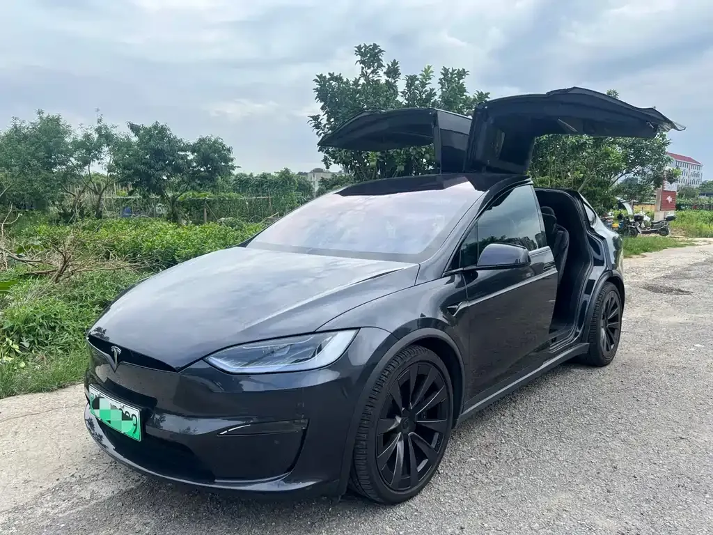 Tesla Model X — фото 1