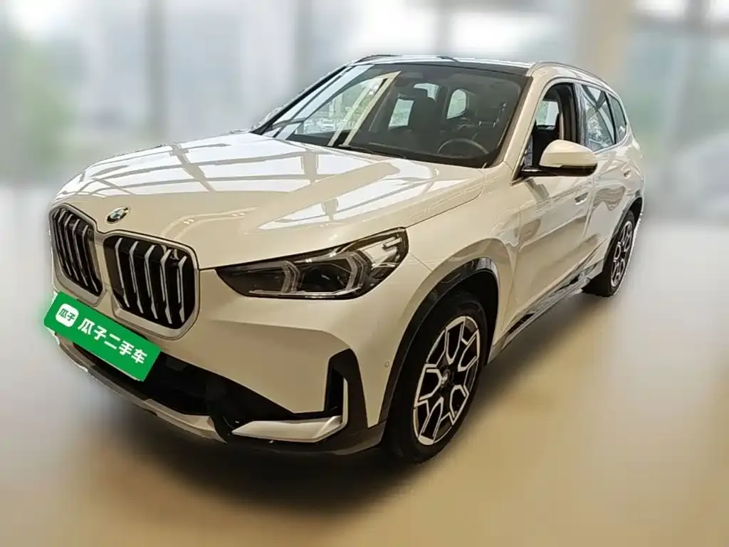 BMW X1 — фото 1