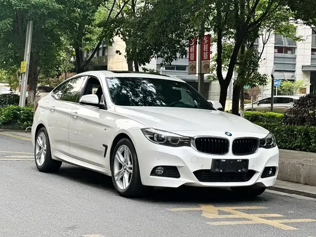 BMW 3 Series GT — фото 6