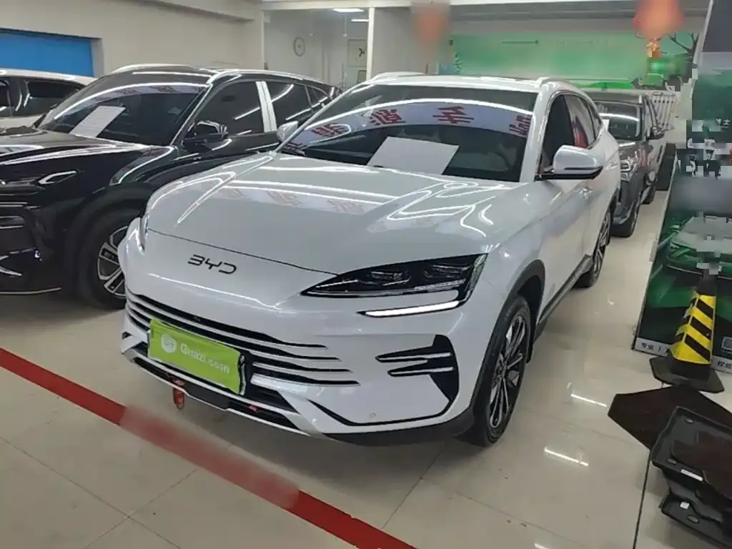 BYD PLUS New Energy — фото 1