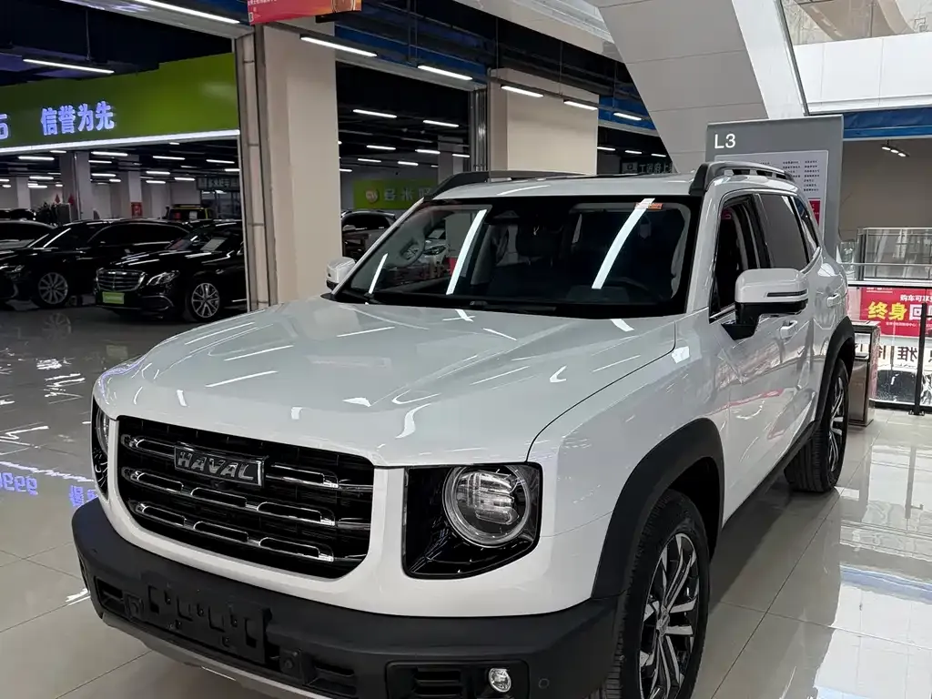 Haval Big Dog — фото 10