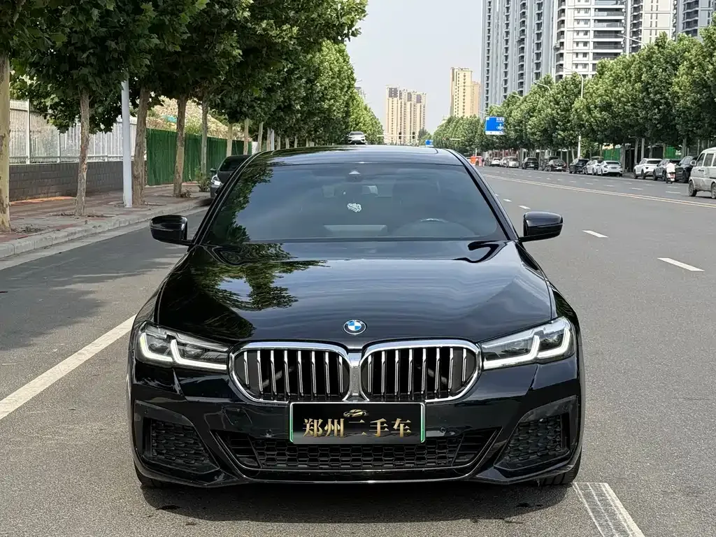 BMW 5 Series New Energy — фото 9