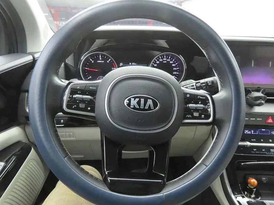 Kia Carnival — фото 10