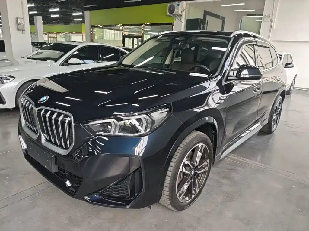 BMW X1 — фото 1