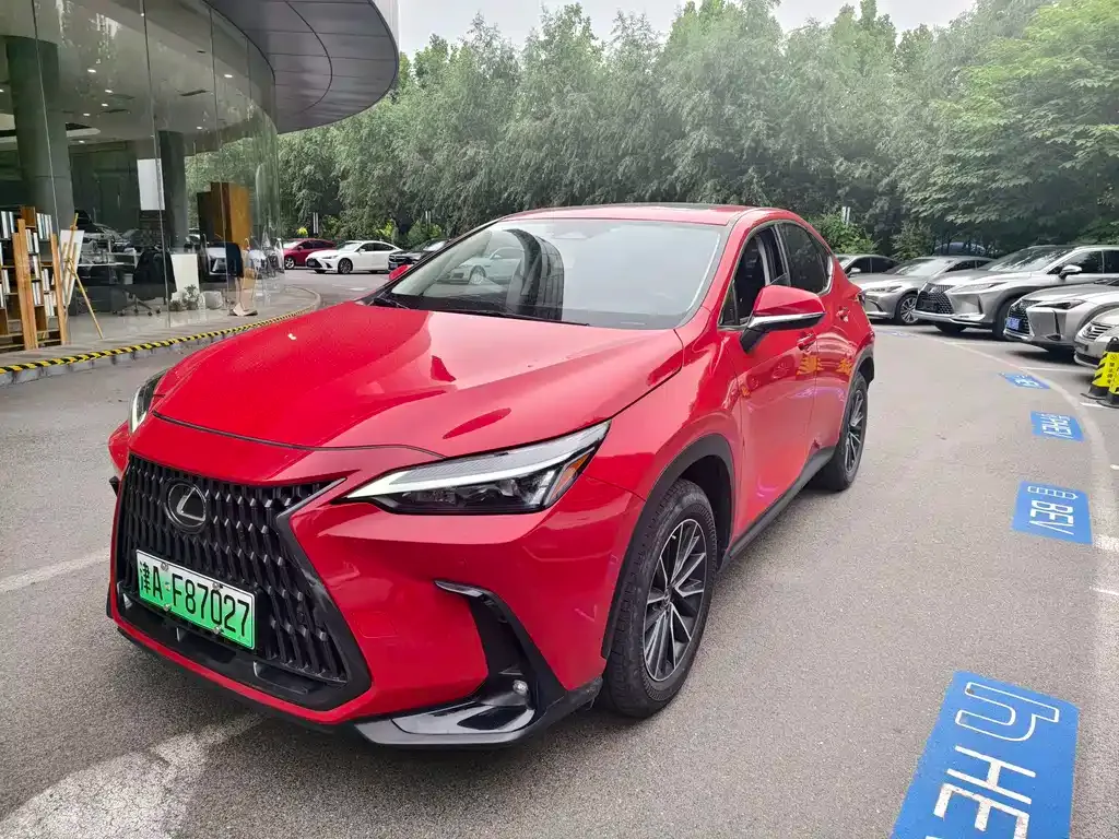 Lexus NX New Energy — фото 1