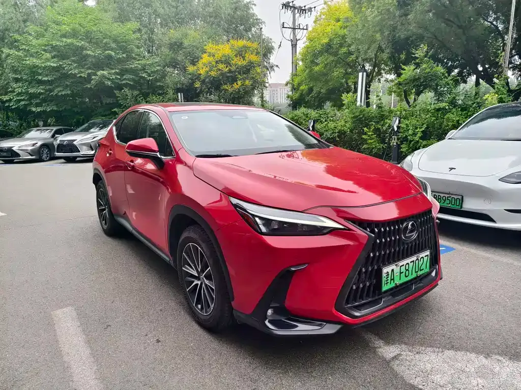 Lexus NX New Energy — фото 8