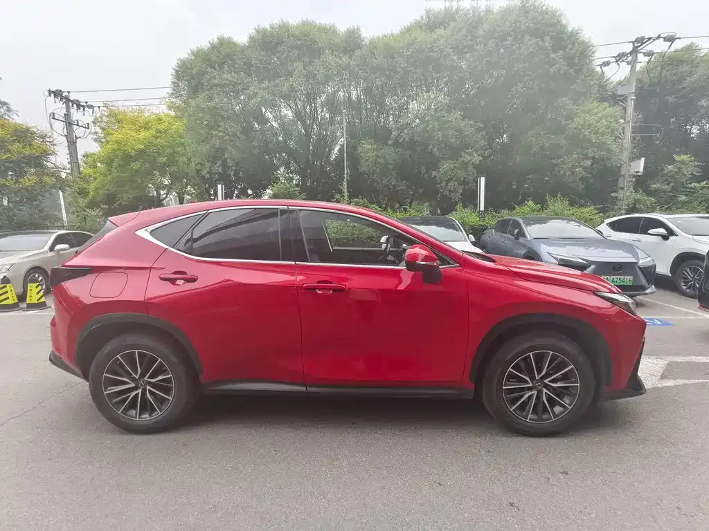 Lexus NX New Energy — фото 6