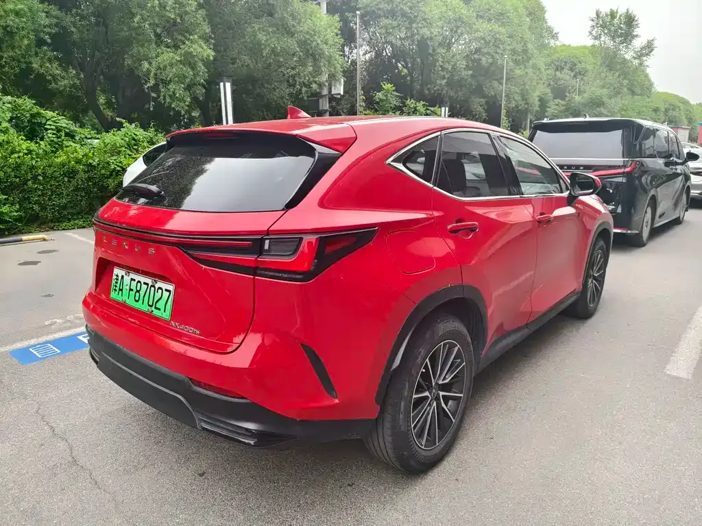 Lexus NX New Energy — фото 4
