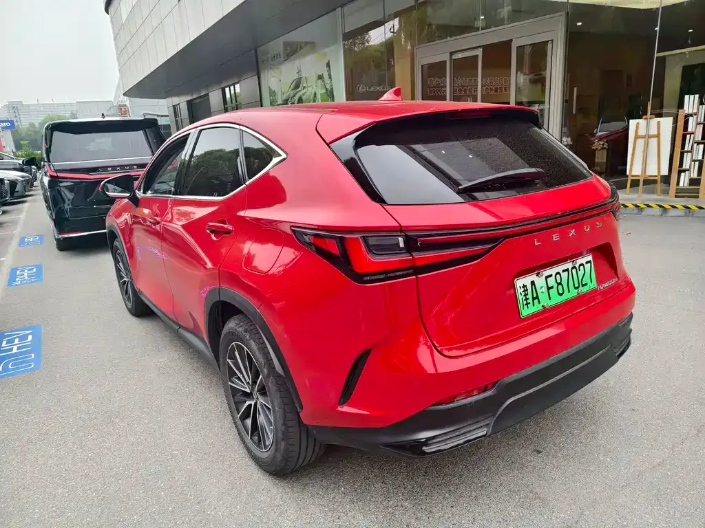Lexus NX New Energy — фото 9