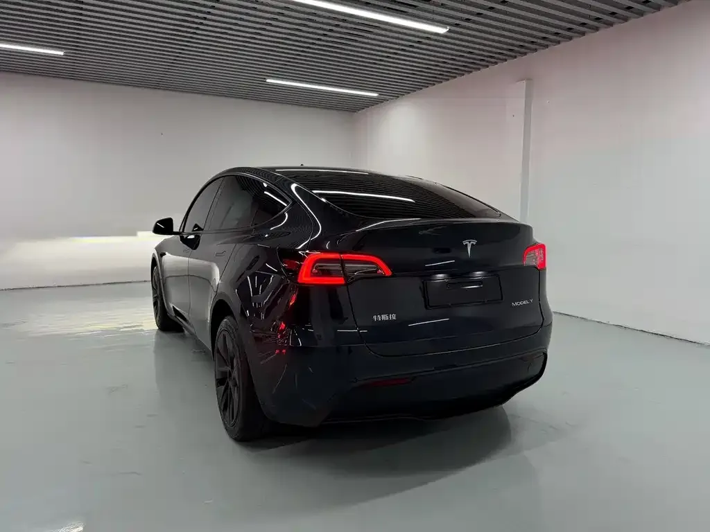 Tesla Model Y — фото 10