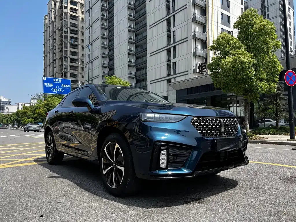 Wey VV7 GT — фото 6