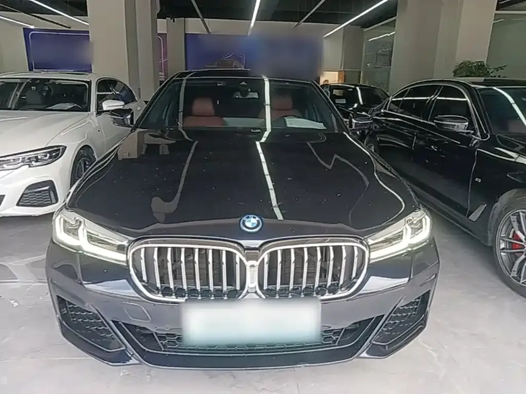 BMW 5 Series New Energy — фото 10