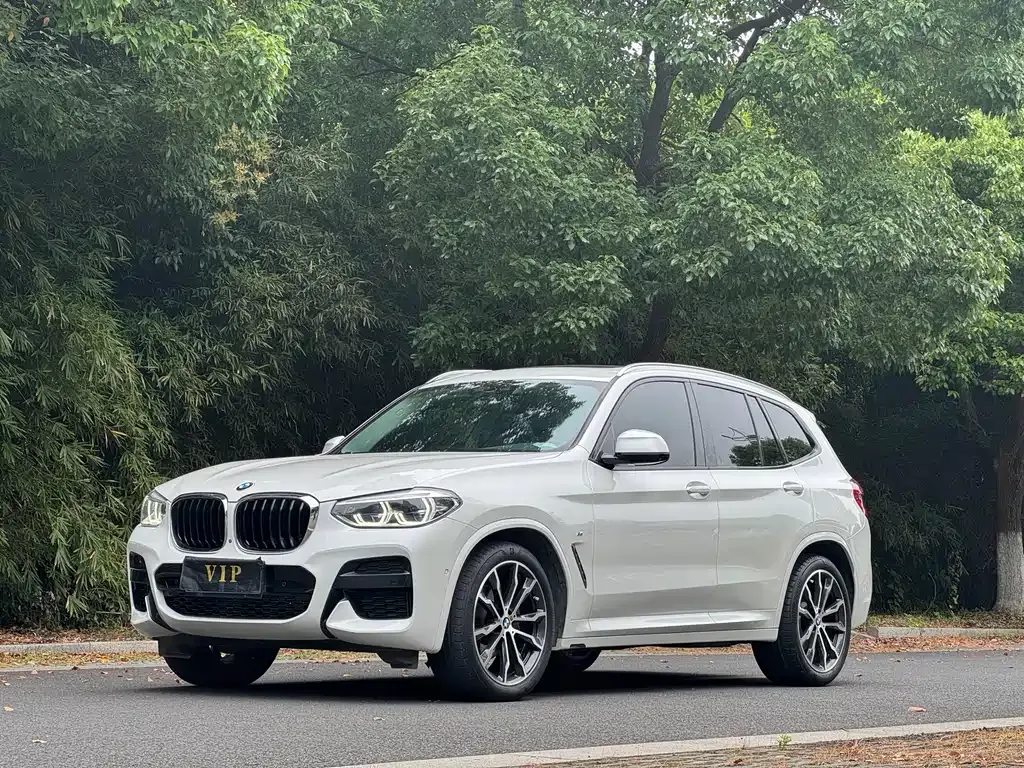 BMW X3 — фото 1