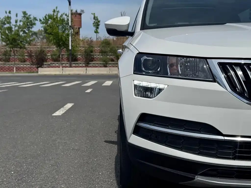 Skoda Karoq — фото 4