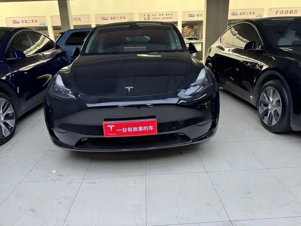 Tesla Model Y — фото 2