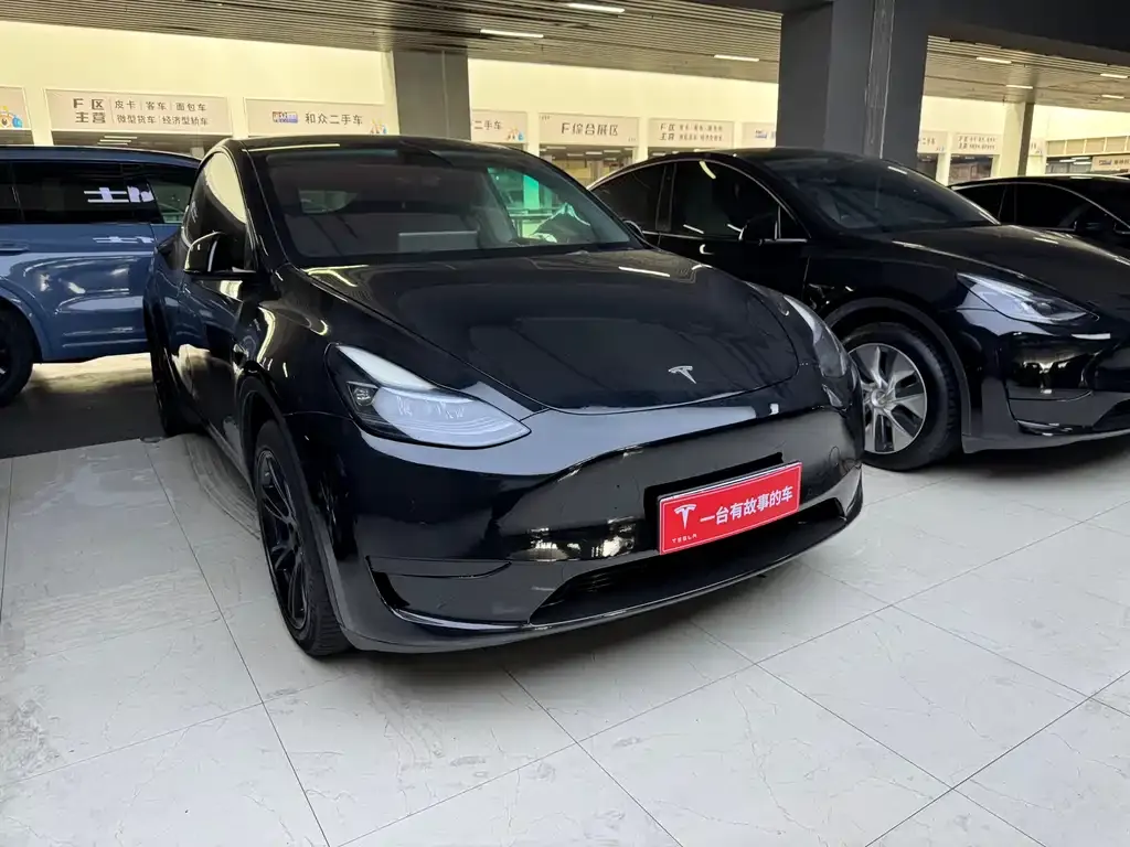Tesla Model Y — фото 9