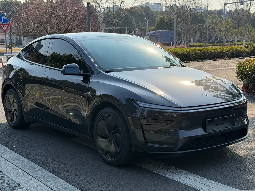 Tesla Model Y — фото 8