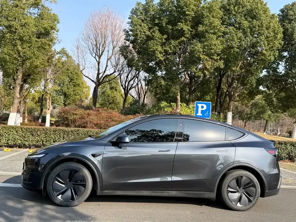 Tesla Model Y — фото 5