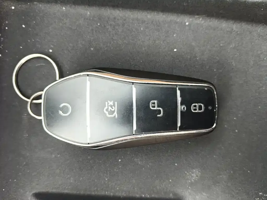 BYD L DM-i — фото 2