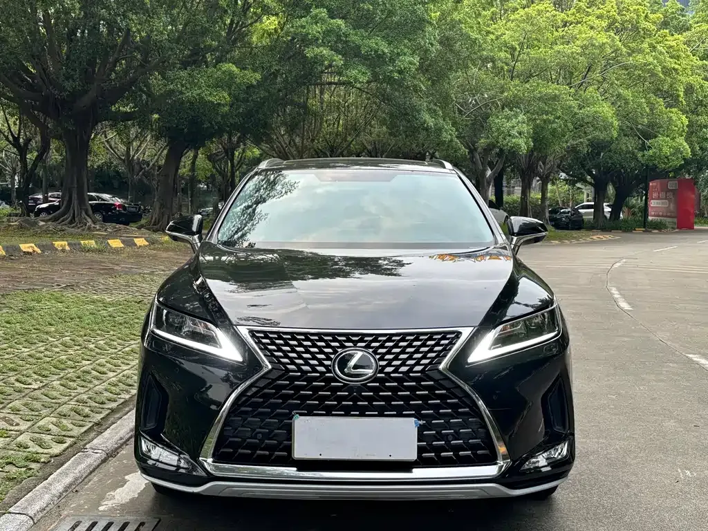 Lexus RX — фото 5