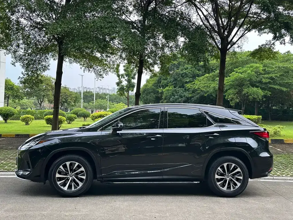 Lexus RX — фото 10