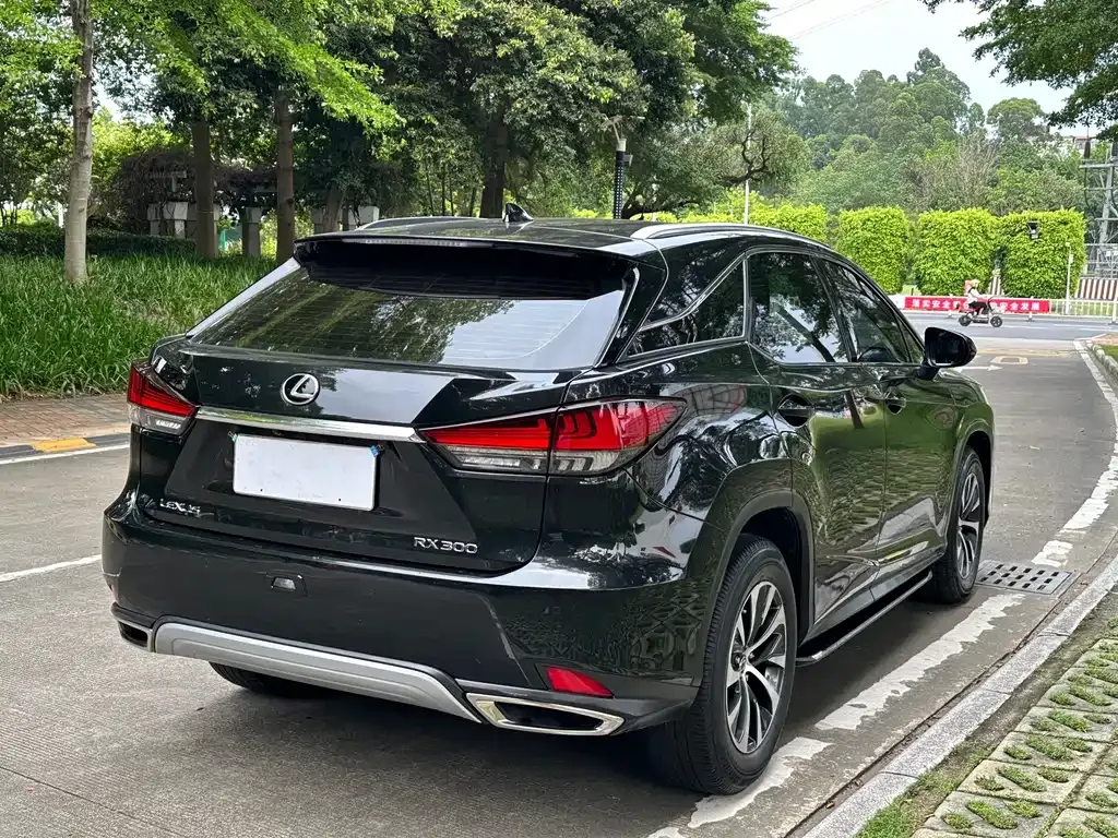 Lexus RX — фото 3