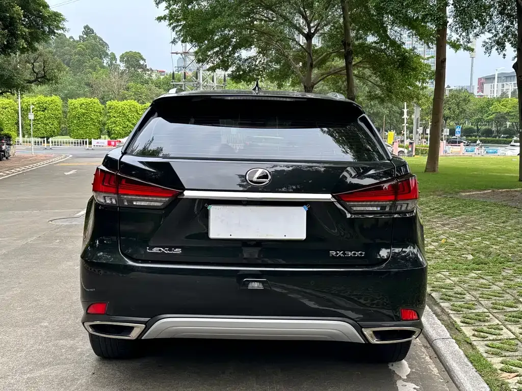 Lexus RX — фото 9