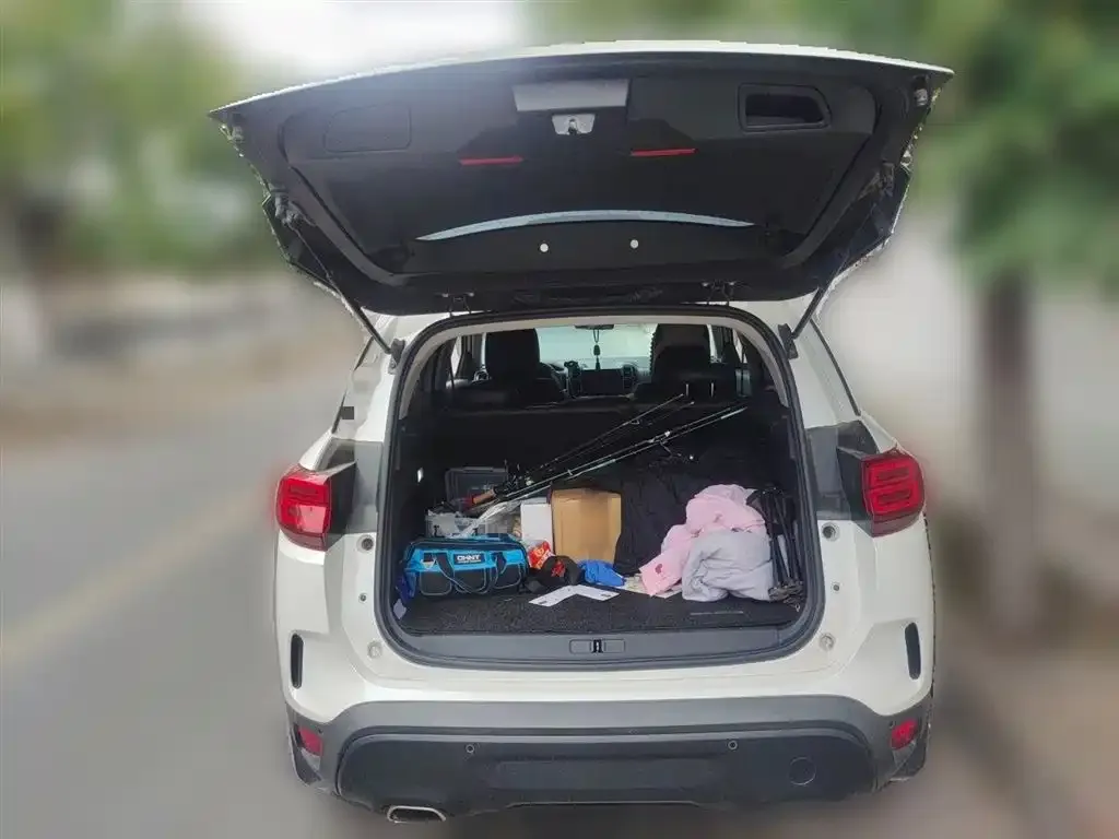 Citroen C5 AIRCROSS — фото 2