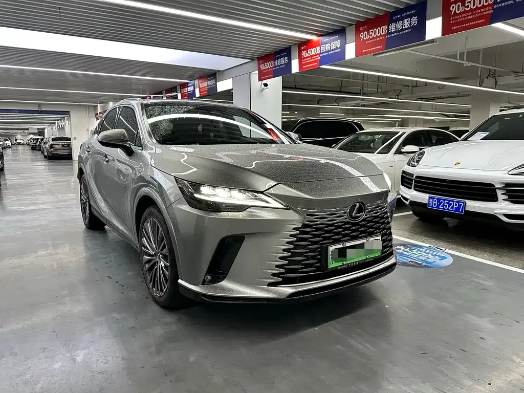 Lexus RX New Energy — фото 8
